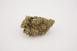 jack herer edited